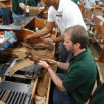 Chris rolling cigars