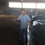 Oliva Tobacco Processing