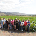 Group photo in the Habano tobacco field.