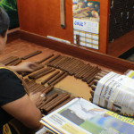 A woman sorts cigars for color before boxing them up.